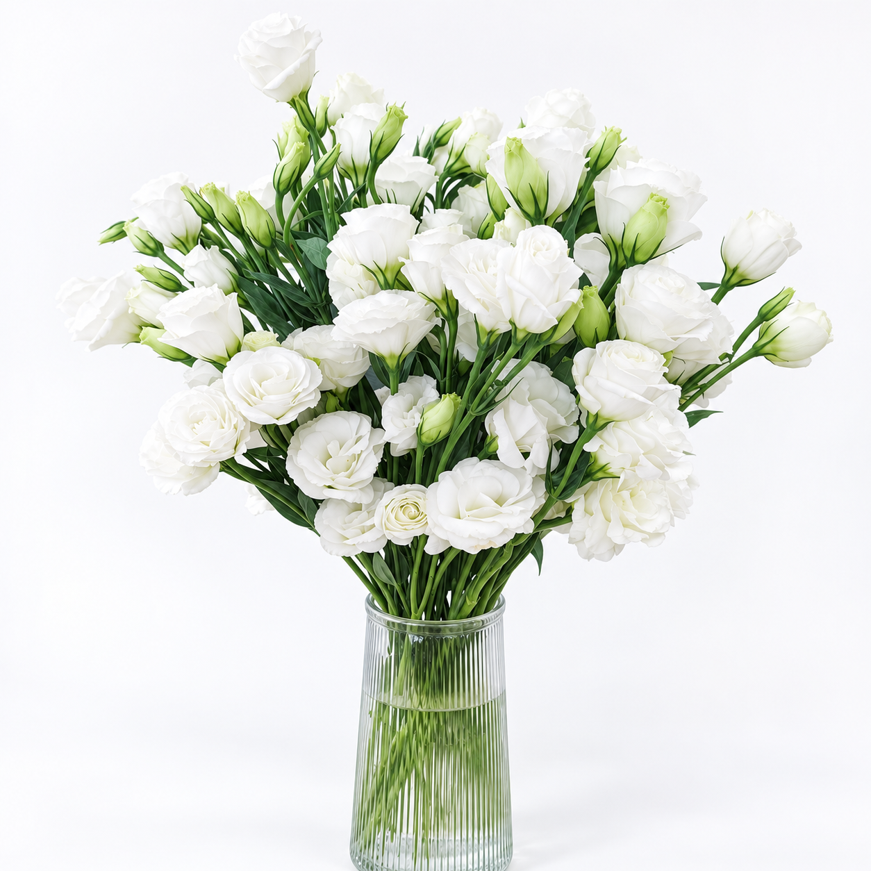 UK Grown White Lisianthus