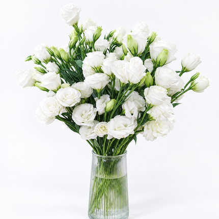 UK Grown White Lisianthus