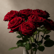 Premium Red Naomi Roses – The Market Edit