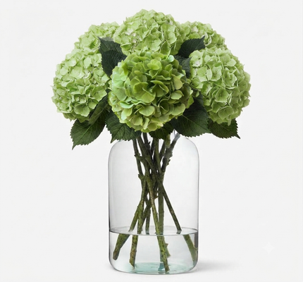 Green Hydrangea Flowers