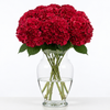 Ruby Red Hydrangea Flowers