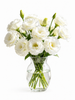 UK Grown White Lisianthus