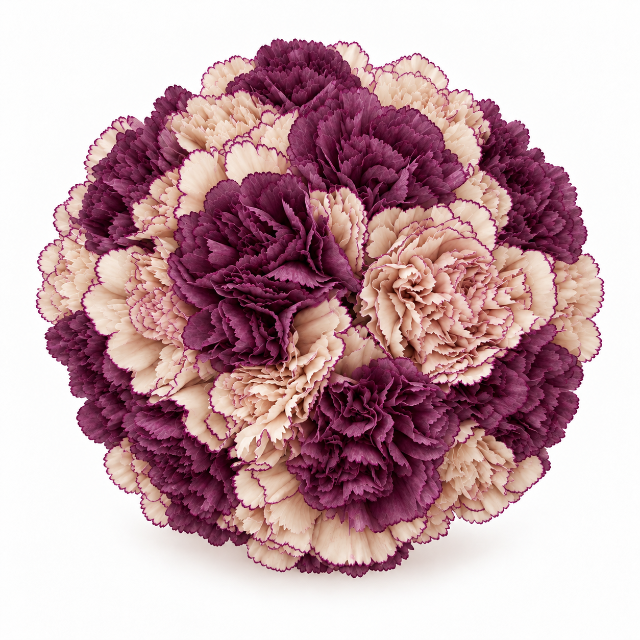 The Carnation Posy