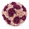 The Carnation Posy