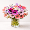 Mixed Jewel & Pastel Anemones