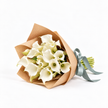 White Calla Lily