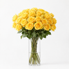 Yellow Rose