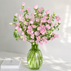 British Pink Campanula | Fresh Seasonal Bellflowers