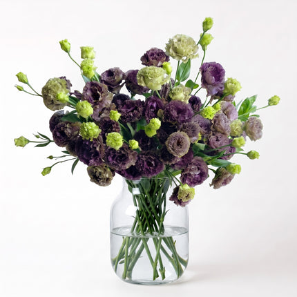 Autumn Lisianthus
