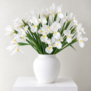 White Iris – British Grown Letterbox Flowers