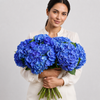 Blue Hydrangea 'Macro Pimpernel' | Fresh Hydrangea Stems