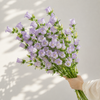 British Lavender Campanula | Fresh Seasonal Bellflowers