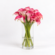 Pink Calla Lilies – Captain Romance