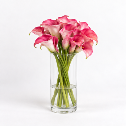 Pink Calla Lilies – Captain Romance
