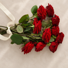 Premium Red Naomi Roses – The Market Edit