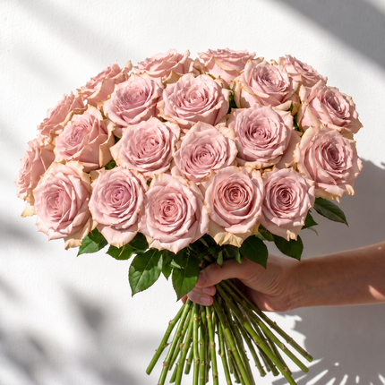 Rose Quicksand
