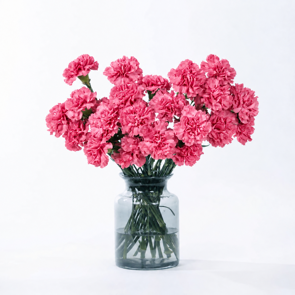 Carnations - Hot pink