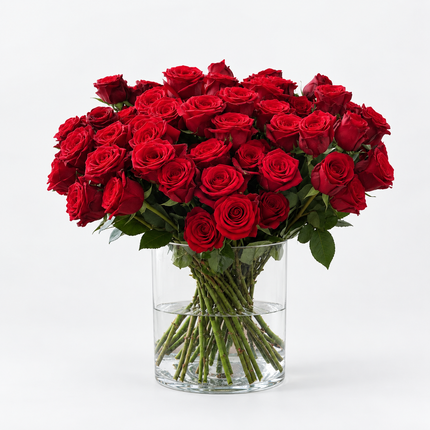 Premium Red Naomi Roses