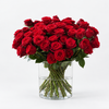 Premium Red Naomi Roses