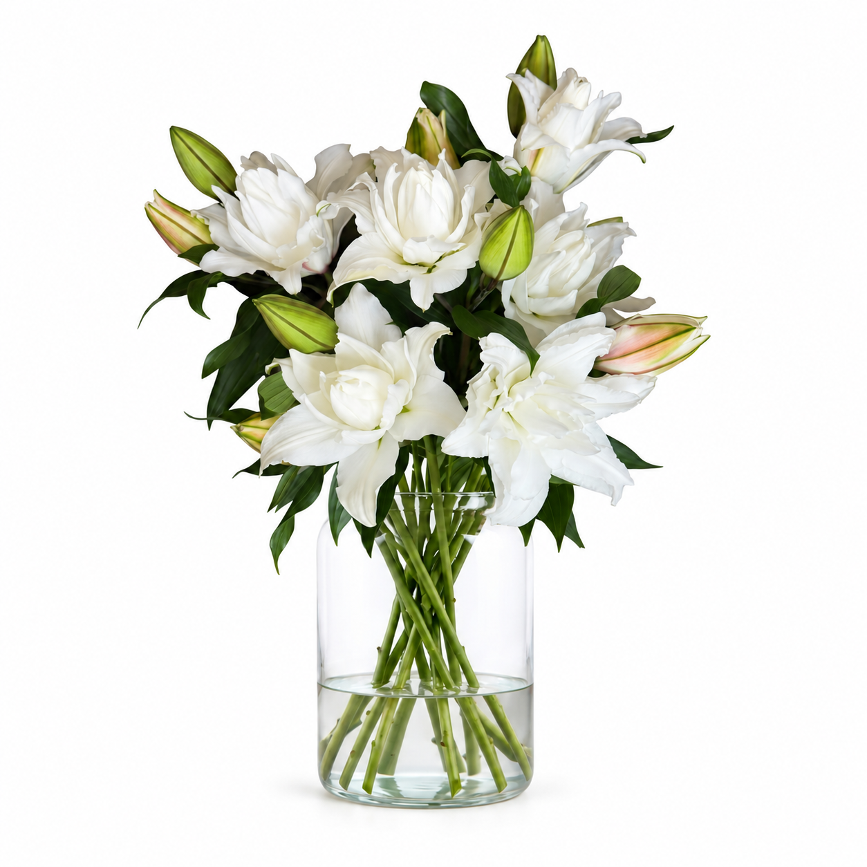 UK Grown Pollen-Free White Rose Lily ‘Delemara’