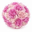 The Carnation Posy