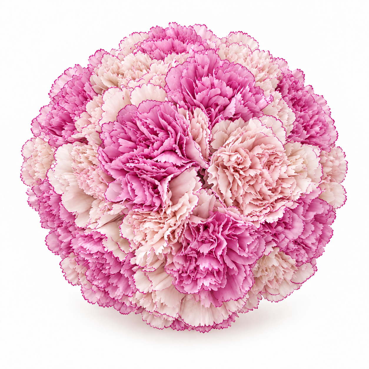 The Carnation Posy
