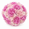 The Carnation Posy