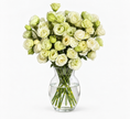 UK Grown Green Jade Lisianthus