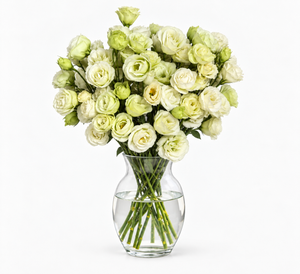 UK Grown Green Jade Lisianthus