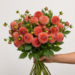 UK Grown Dahlia ‘Cornel Bronze’ – Bronze