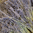 Dried Lavender