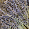 Dried Lavender