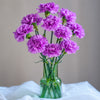 Moon Series Carnations
