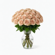Rose Quicksand