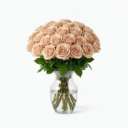 Rose Quicksand