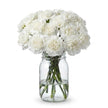 Carnations - White