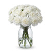 Carnations - White