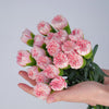 The Blush Carnation Bouquet