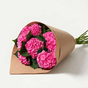UK Grown Hydrangea ‘Diamond Pink’