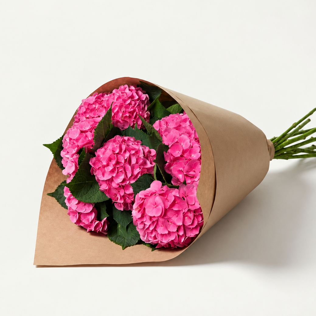 UK Grown Hydrangea ‘Diamond Pink’