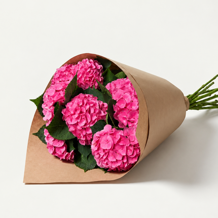 UK Grown Hydrangea ‘Diamond Pink’