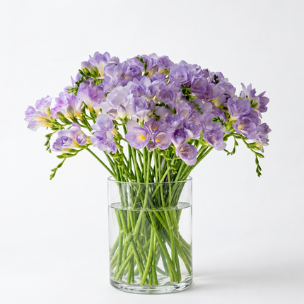 Mauve Freesia - 50 Stems