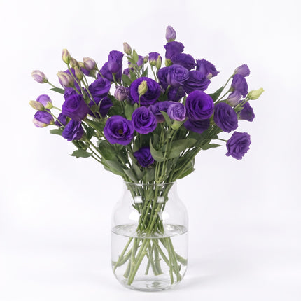 UK Grown Purple Lisianthus