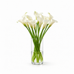 White Calla Lily