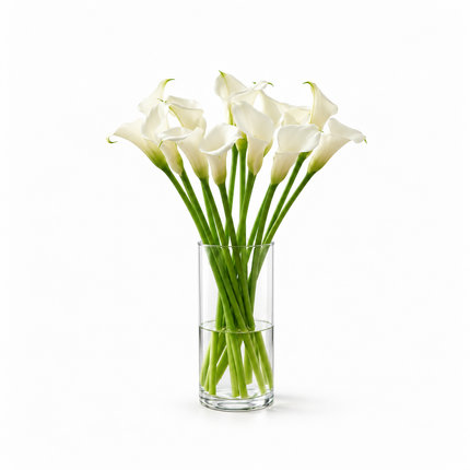 White Calla Lily