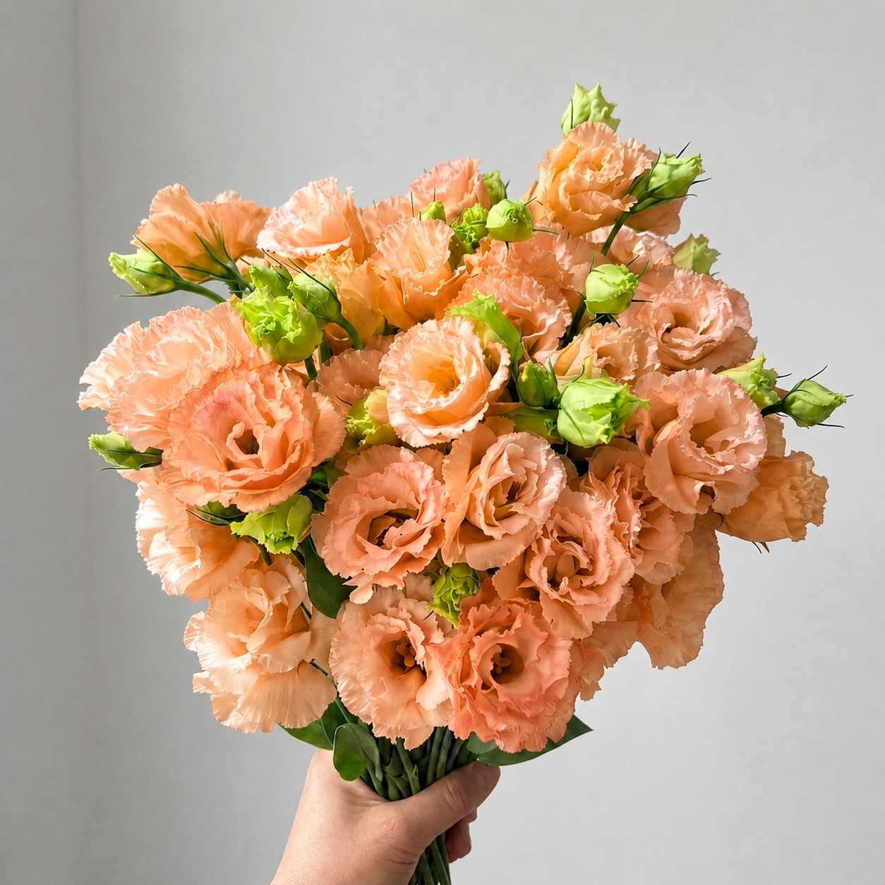 UK Grown Peach Lisianthus