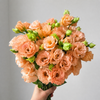 UK Grown Peach Lisianthus