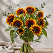 British Grown Ring of Fire Sunflowers | Bicolour Sunflower Stems