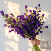British Purple Campanula | Fresh Seasonal Bellflowers