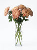Chrysanthemum Vienna Copper